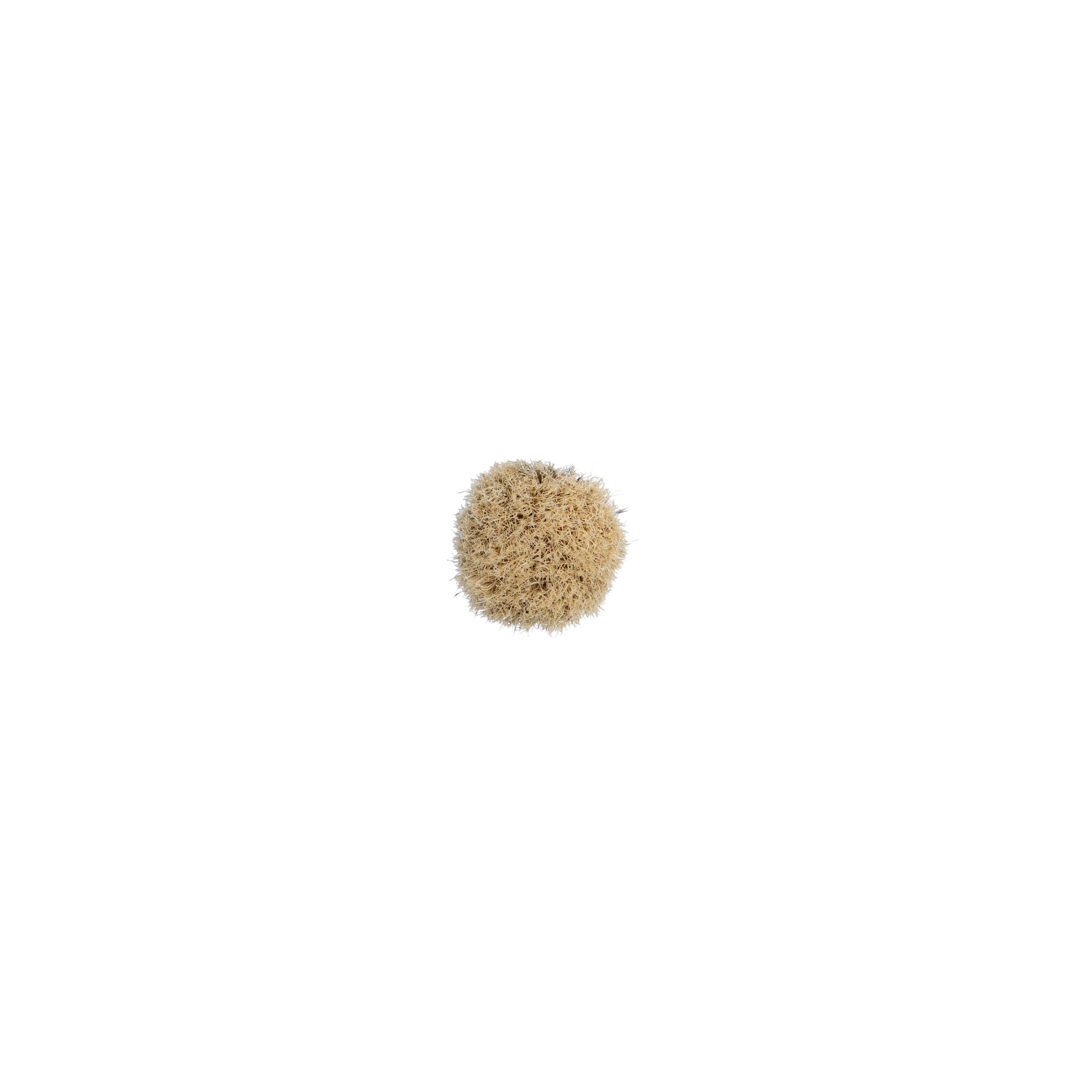 Standard Issue Boar Hair Shaving Brush
